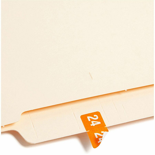 Smead ETS Color-Coded Year Labels 1/2" Height x 1" Width - Rectangle - Orange - Laminated - 10 Total Sheets - 250 Total Label(s) - 250 / Pack (67924)