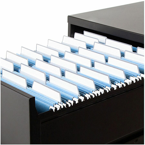 Smead Protab&reg; Filing System with 20 Letter Size Hanging File Folders, 24 ProTab 1/3-Cut Tab labels, and 1 eraser 11 pt. - Paperboard - Adhesive Label, Write-on Label - 20 / Box (64210)