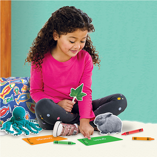 Trend Colors All Around Us Learning Set Learning Theme/Subject - Durable, Reusable, Sturdy - Multi - 1 Each (T19005)