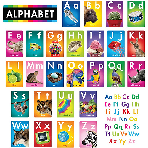 Trend ABC Photo Fun Learning Set Learning Theme/Subject - Durable, Reusable, Sturdy - Multi - 1 Each (T19007)
