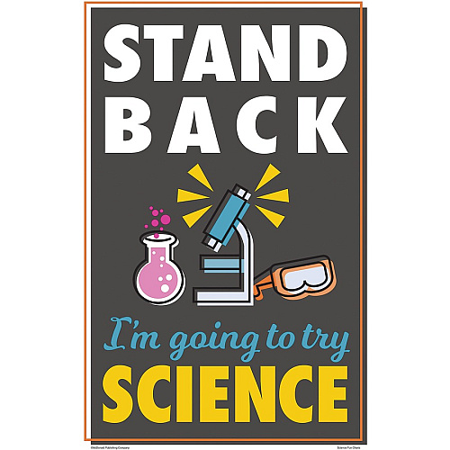 Teacher Created Resources Science Fun Posters 11" Width - Multi (P175)