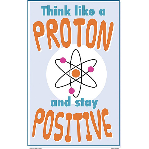 Teacher Created Resources Science Fun Posters 11" Width - Multi (P175)