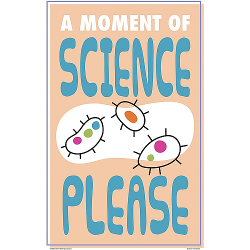 Teacher Created Resources Science Fun Posters 11" Width - Multi (P175)