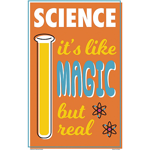 Teacher Created Resources Science Fun Posters 11" Width - Multi (P175)