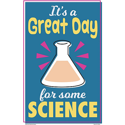 Teacher Created Resources Science Fun Posters 11" Width - Multi (P175)