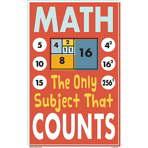 Teacher Created Resources Math Fun Posters 11" Width x 17" Height - Multi (P176)