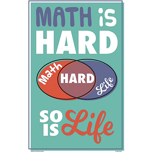Teacher Created Resources Math Fun Posters 11" Width x 17" Height - Multi (P176)