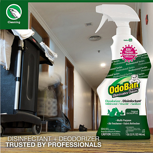 OdoBan Eucalyptus Deodorizer Disinfectant Spray Ready-To-Use - 32 fl oz (1 quart) - Original Eucalyptus Scent - Deodorize, Residue-free, Freshen, Mildewstatic - Green - 12 / Carton (910062Q12CT)