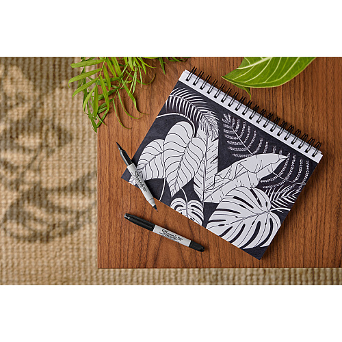 Sharpie Brush Twin Permanent Markers Fine, Broad, Ultra Fine Marker Point - Black - 12 / Dozen (2151734)