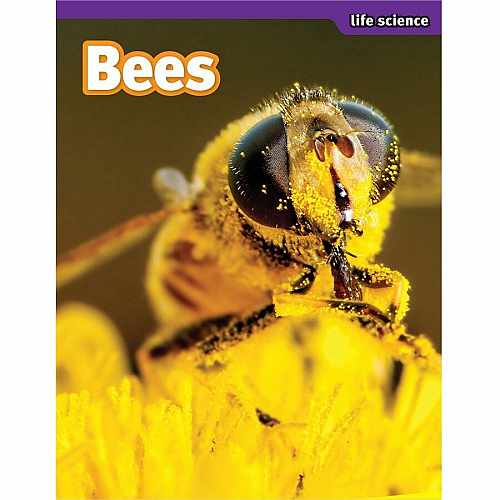 Scholastic SuperScience STEM Instant Activities Printed Book Grade 1-3 (1338099000)