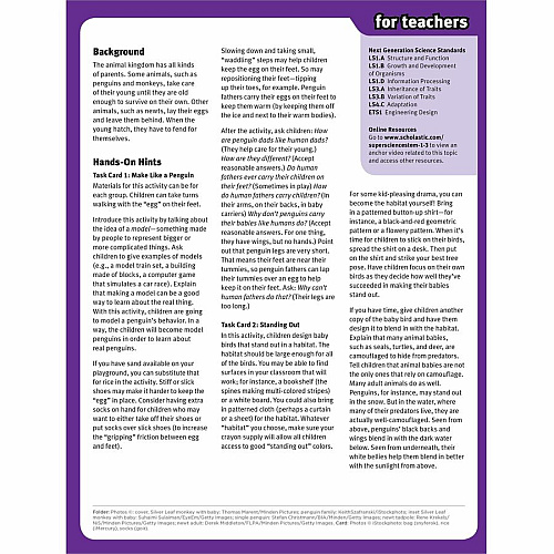 Scholastic SuperScience STEM Instant Activities Printed Book Grade 1-3 (1338099000)