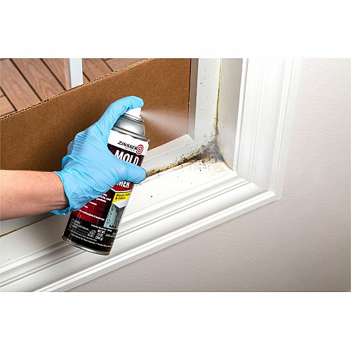 Zinsser Mold Killing Primer White - 1 Each (287512)