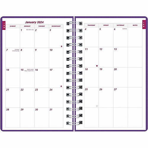 Brownline DuraFlex Daily Appointment Planner (CB634VPUR)