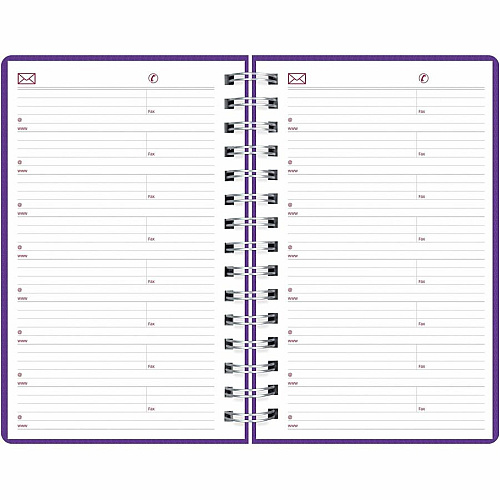 Brownline DuraFlex Daily Appointment Planner (CB634VPUR)