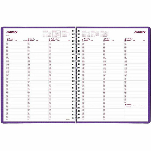 Brownline DuraFlex Weekly Appointment Planner (CB950VPUR)