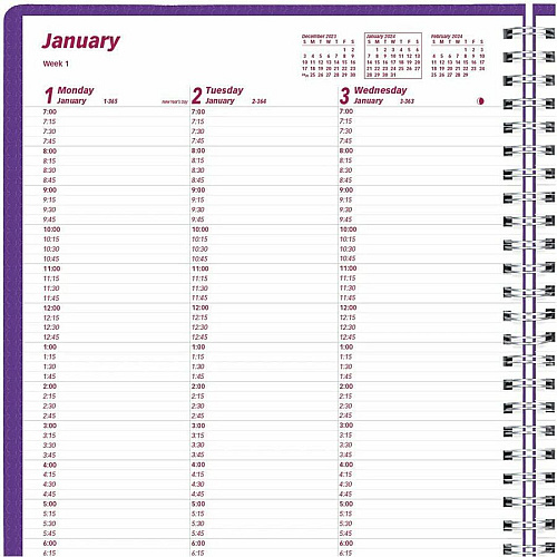 Brownline DuraFlex Weekly Appointment Planner (CB950VPUR)