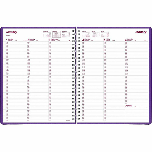 Brownline DuraFlex Weekly Appointment Planner (CB950VPUR)