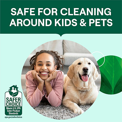 Seventh Generation Emerald/Fir Toilet Bowl Cleaner 24 oz (1.50 lb) - Fresh Mint Scent - 1 Each - Non-toxic, Fume-free, Bio-based, Kosher - White, Green (45166)