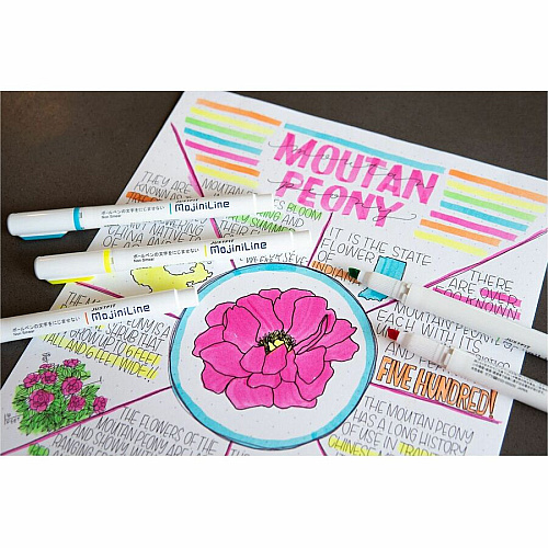 Zebra Pen Mojini Single Ended Highlighters 4 mm Chisel Marker Point - Water Based - 5 / Pack (70205)