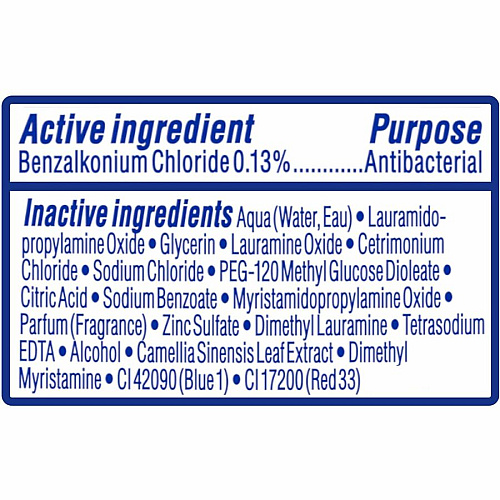 Dial White Tea Antibacterial Hand Soap (20940)