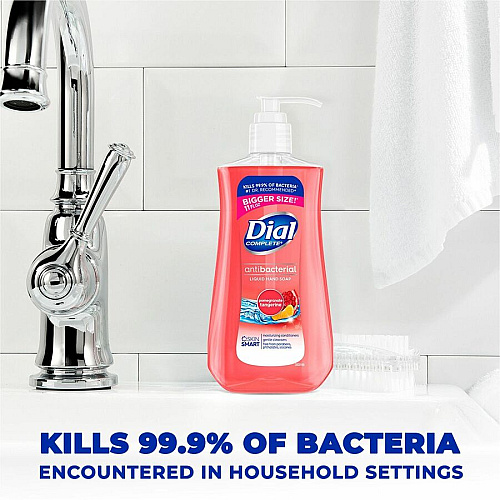 Dial Pomegranate Tangerine Antibacterial Hand Soap (20943)