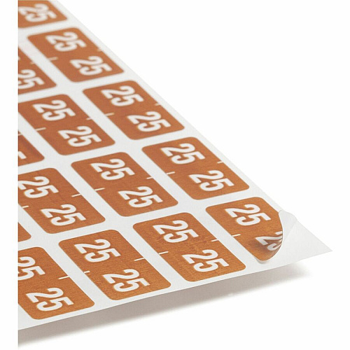 Smead ETS Color-Coded Year Labels 1/2" Height x 1" Width - Brown - 250 / Pack (67925)