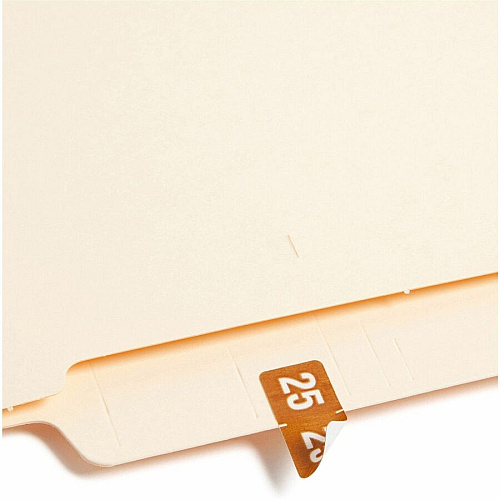 Smead ETS Color-Coded Year Labels 1/2" Height x 1" Width - Brown - 250 / Pack (67925)
