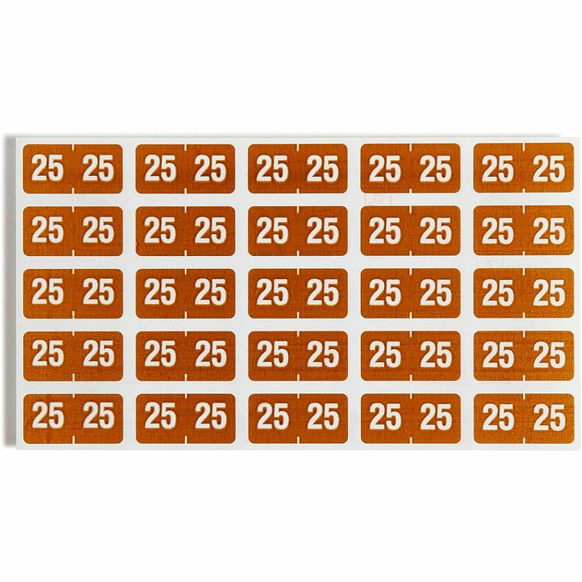 eazyzoom