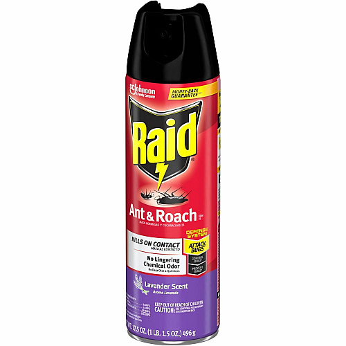 Raid Ant & Roach Killer Spray Spray - Kills Cockroaches, Ants, Water Bugs, Palmetto Bug, Silverfish, Carpet Beetle, Earwig, Spider, Lady Beetle, Black Widow Spider, Crickets, ... - 1.09 lb - Red - 1 Each (365982)