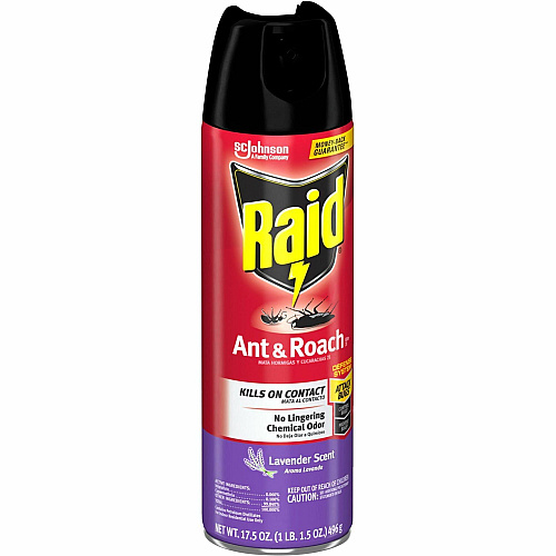 Raid Ant & Roach Killer Spray Spray - Kills Cockroaches, Ants, Water Bugs, Palmetto Bug, Silverfish, Carpet Beetle, Earwig, Spider, Lady Beetle, Black Widow Spider, Crickets, ... - 1.09 lb - Red - 1 Each (365982)
