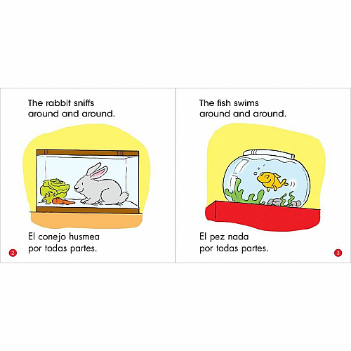 Scholastic First Little Readers Book Set Printed Book by Deborah Schecter 8 Pages - Scholastic Teaching Resources Publication - Book - English, Spanish - 25/Box (1338662074)
