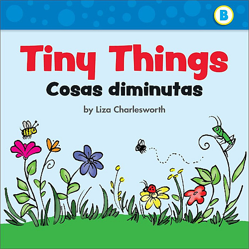 Scholastic First Little Readers Book Set Printed Book by Liza Charlesworth 8 Pages - Scholastic Teaching Resources Publication - July 1, 2020 - Book - Grade Preschool-2 - English, Spanish - 25/Box (1338662082)
