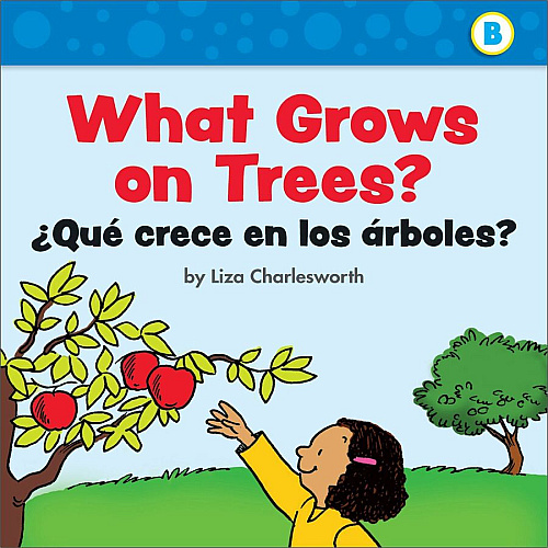 Scholastic First Little Readers Book Set Printed Book by Liza Charlesworth 8 Pages - Scholastic Teaching Resources Publication - July 1, 2020 - Book - Grade Preschool-2 - English, Spanish - 25/Box (1338662082)