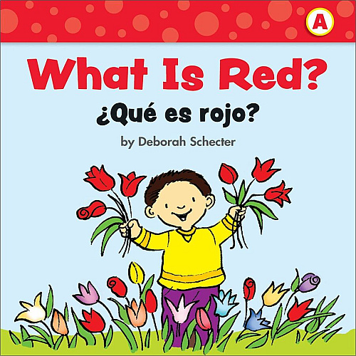 Scholastic First Little Readers Book Set Printed Book by Deborah Schecter 8 Pages - Scholastic Teaching Resources Publication - June 1, 2020 - Book - Grade Preschool-2 - English, Spanish - 5 Copies of 20 Titles/Box (133866803X)