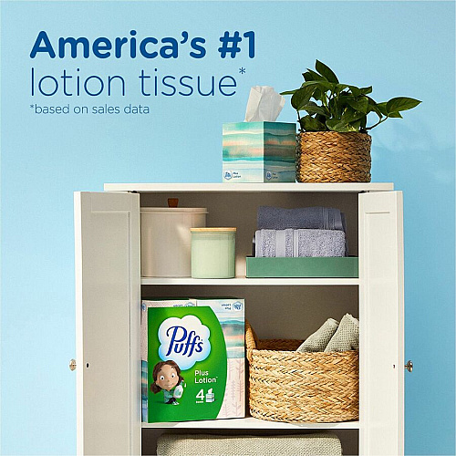 Puffs Basic Facial Tissue Green/ - 124 / Box (39346)