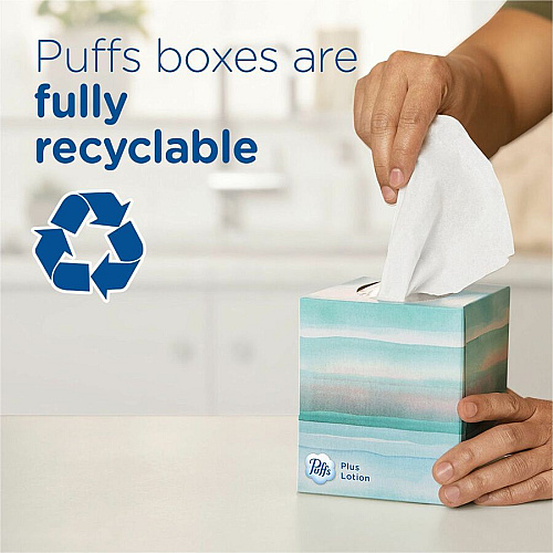 Puffs Basic Facial Tissue Green/ - 124 / Box (39346)