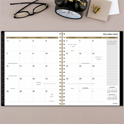 At-A-Glance Radiate Weekly/Monthly Planner Weekly, Monthly - 12 Month - January 2025 to December 2025 - 1 Week, 1 Month Double Page Layout - 5 1/2" x 8 1/2" Sheet Size - Twin Wire - Multi - Poly Cover - Tabbed, Holiday Listing, Sticker Sheet, Du (1725200)