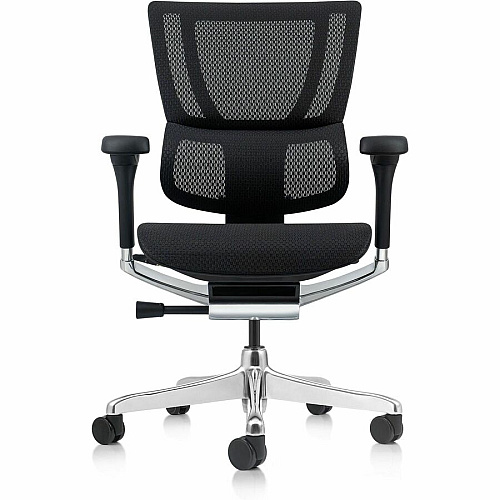 Eurotech Ergohuman Xtreme Executive Chair Mesh Back Material - High Back - 5-star Base - Black - Armrest - 1 Each (ME3ERGLOXTRM)