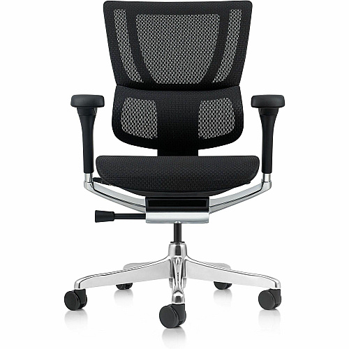 Eurotech Ergohuman Xtreme Executive Chair Mesh Back Material - High Back - 5-star Base - Black - Armrest - 1 Each (ME3ERGLOXTRM)