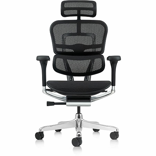 Eurotech ErgoHuman Gen2 Executive All-Mesh Chair Black Seat Color - Mesh Seat Material - Black Back Color - Mesh Back Material - Black Frame Color - Fiber Polymer Composite (FPC) Frame Material - 5-star Base - Black - Mesh - Armrest - 1 Each (ME7ERGG2BK)