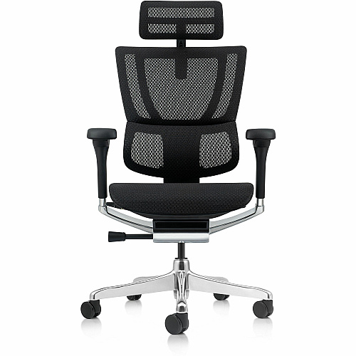 Raynor Ergohuman Xtreme Executive Chair Mesh Back Material - High Back - Black - Armrest - 1 Each (ME2ERGXTRM)
