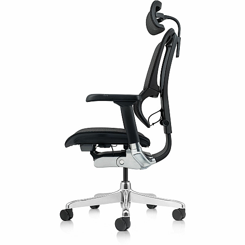 Raynor Ergohuman Xtreme Executive Chair Mesh Back Material - High Back - Black - Armrest - 1 Each (ME2ERGXTRM)