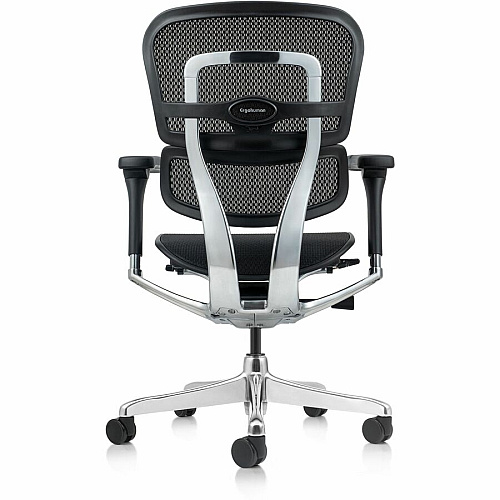 Eurotech ErgoHuman Gen2 Executive All-Mesh Chair Fiber Polymer Composite (FPC) Frame Material - 5-star Base - Black - Mesh - Armrest - 1 Each (ME8ERGLOG2BK)