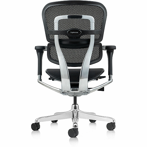 Eurotech ErgoHuman Gen2 Executive All-Mesh Chair Fiber Polymer Composite (FPC) Frame Material - 5-star Base - Black - Mesh - Armrest - 1 Each (ME8ERGLOG2BK)
