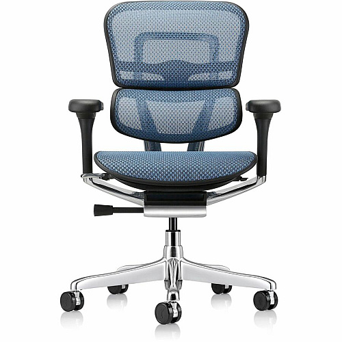 Eurotech ErgoHuman Gen2 Executive All-Mesh Chair Fiber Polymer Composite (FPC) Frame Material - 5-star Base - Blue - Mesh - Armrest - 1 Each (ME8ERGLOG2BL)