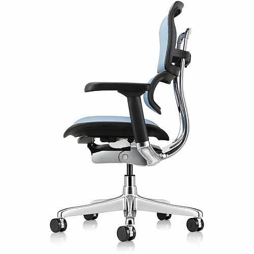Eurotech ErgoHuman Gen2 Executive All-Mesh Chair Fiber Polymer Composite (FPC) Frame Material - 5-star Base - Blue - Mesh - Armrest - 1 Each (ME8ERGLOG2BL)
