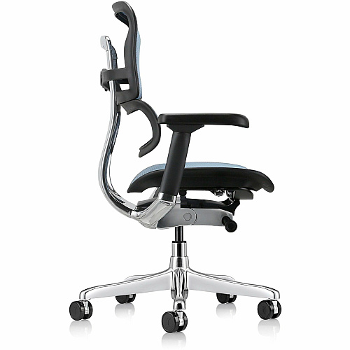 Eurotech ErgoHuman Gen2 Executive All-Mesh Chair Fiber Polymer Composite (FPC) Frame Material - 5-star Base - Blue - Mesh - Armrest - 1 Each (ME8ERGLOG2BL)
