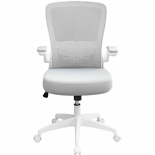 Boss Flip Arm Mesh Back Task Chair Gray Seat Color - Foam, Fabric Seat Material - Mesh Back Material - White Frame Color - 5-star Base - Gray - Armrest - 1 Each (6366WTGY)