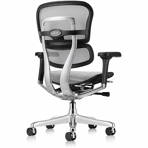 Eurotech ErgoHuman Gen2 Executive All-Mesh Chair Fiber Polymer Composite (FPC) Frame Material - 5-star Base - Gray - Mesh - Armrest - 1 Each (ME8ERGLOG2GY)