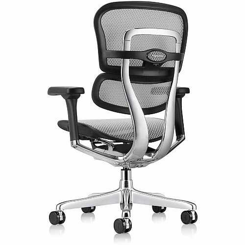 Eurotech ErgoHuman Gen2 Executive All-Mesh Chair Fiber Polymer Composite (FPC) Frame Material - 5-star Base - Gray - Mesh - Armrest - 1 Each (ME8ERGLOG2GY)